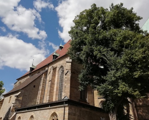 Kirche in Erfurt