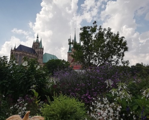 Blick auf den Erfurter Dom
