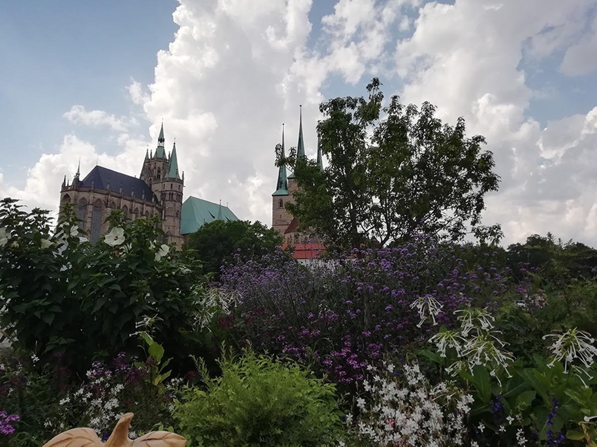 Blick auf den Erfurter Dom