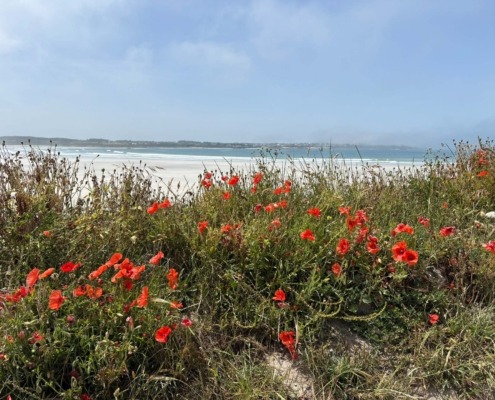 Plage de Dossen Plage de Dossen