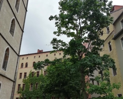 Wittenberg