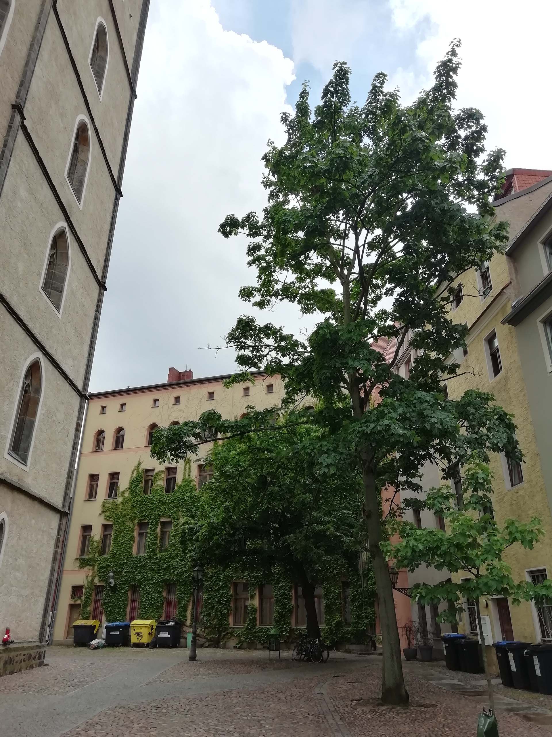 Wittenberg