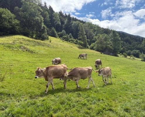Oberstdorf