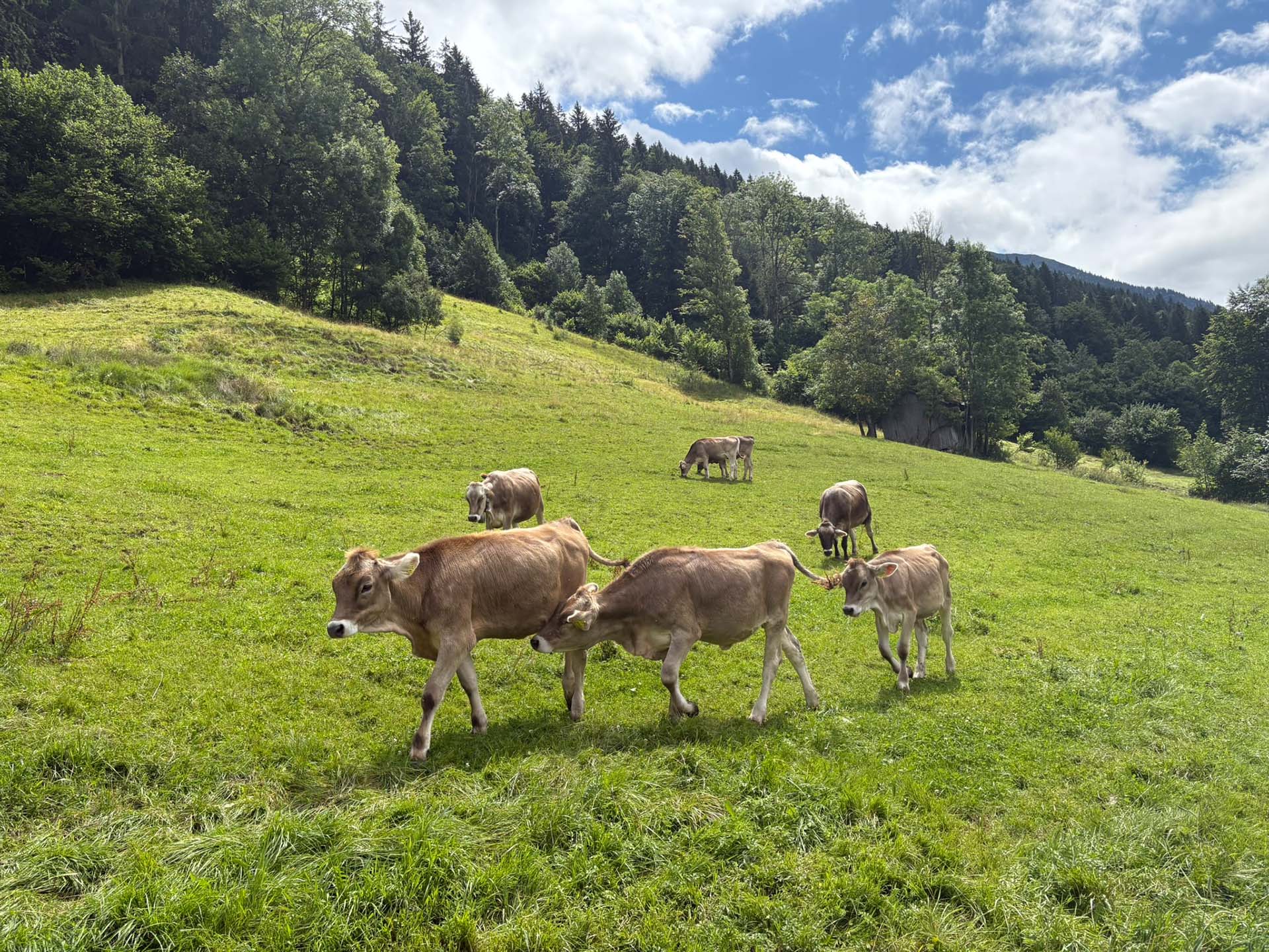 Oberstdorf
