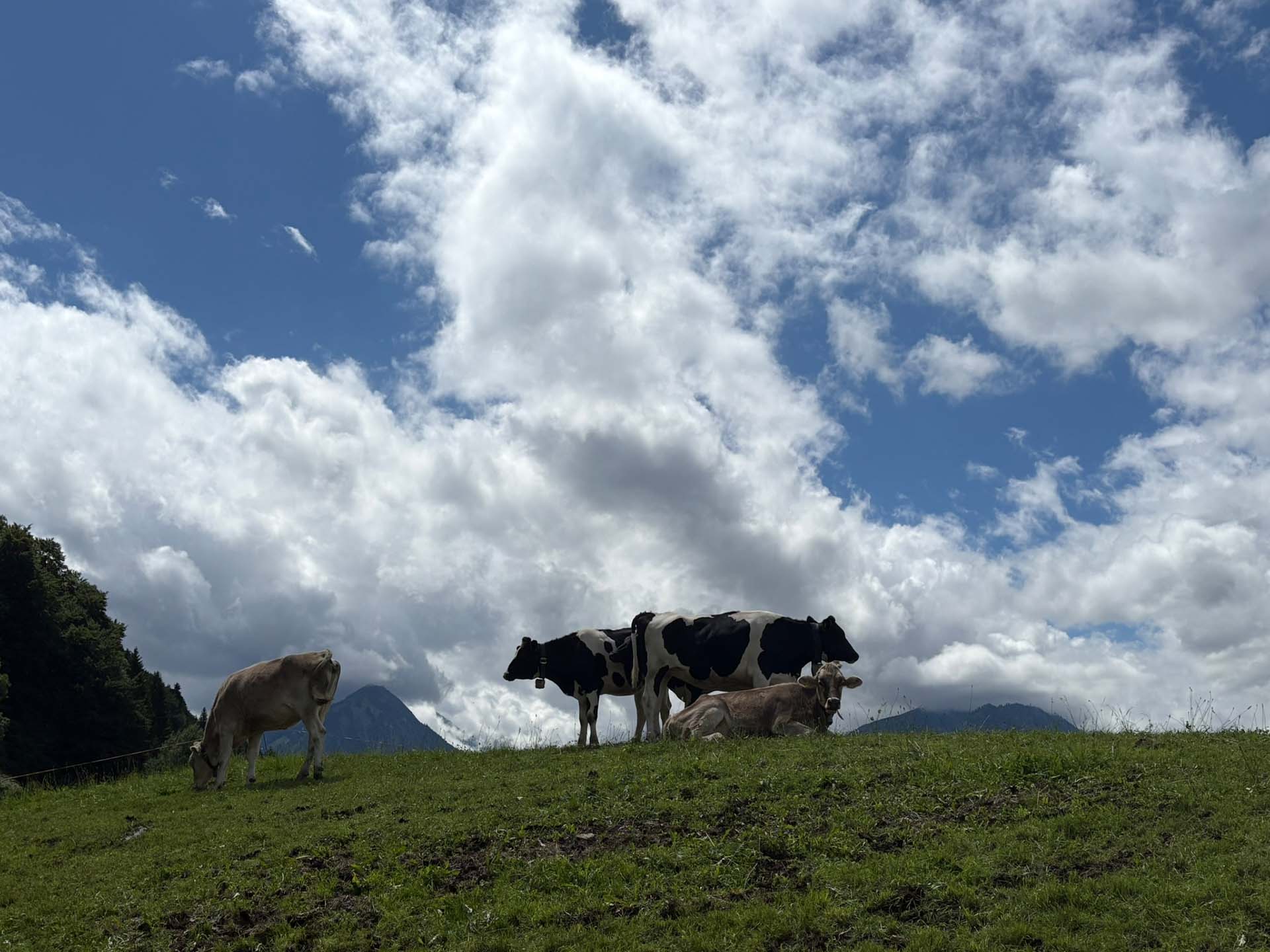 Oberstdorf